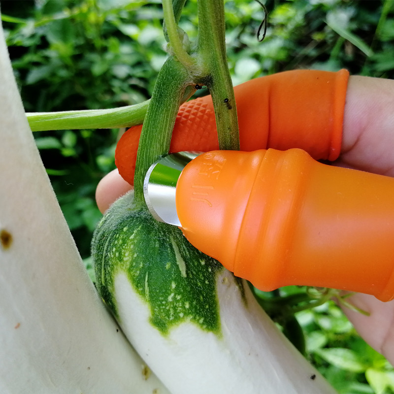 花椒采摘器掐尖神器拇指刀摘菜专用豆角摘辣椒神器水果疏花疏果剪