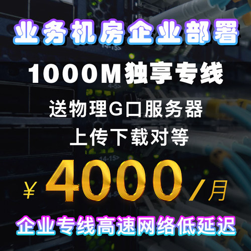 g口服务器千兆多用途企业级宽带