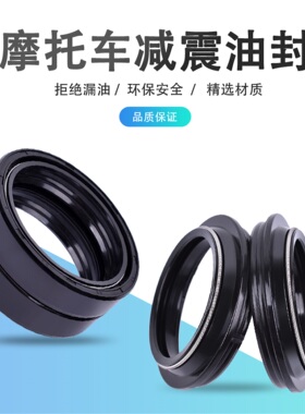 适用布尔1190杜卡迪怪兽1100揽途1200古兹V11摩托前减震油封配件