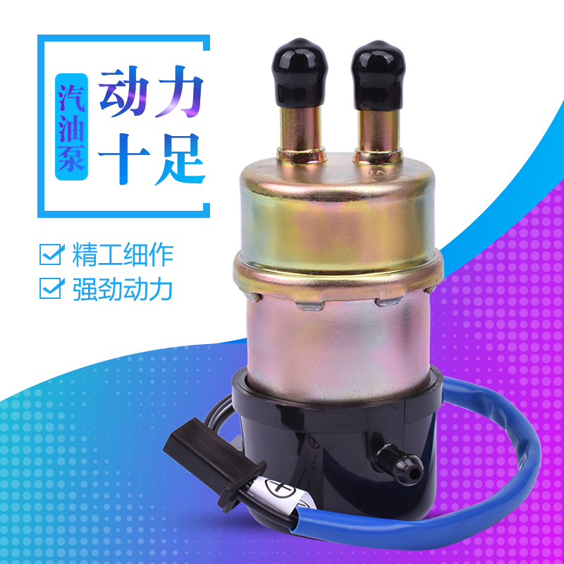 VZ800VS700汽油泵芯燃油泵