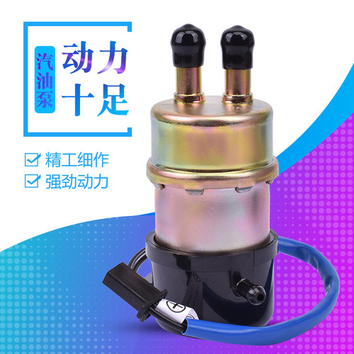 ZGZZR1200汽油泵芯燃油泵芯配件