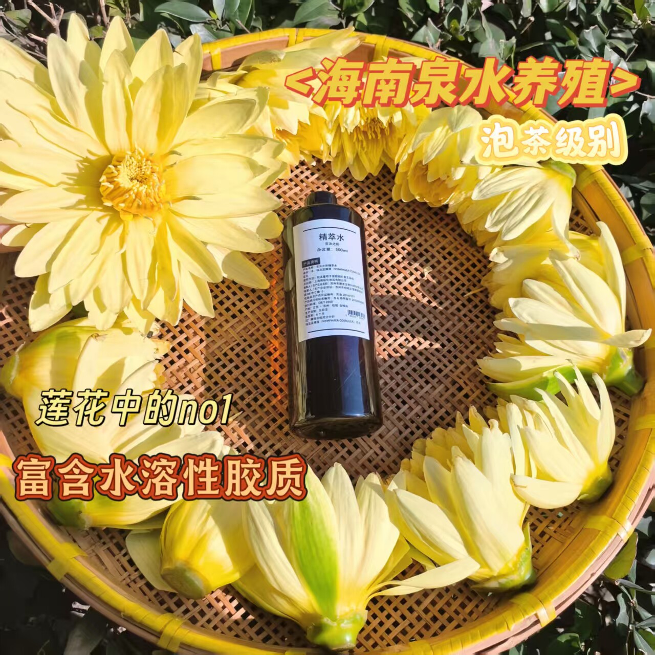 稀缺粉金莲花纯露 锁水维稳修复做喷雾水膜爽肤水回春苦橙花水