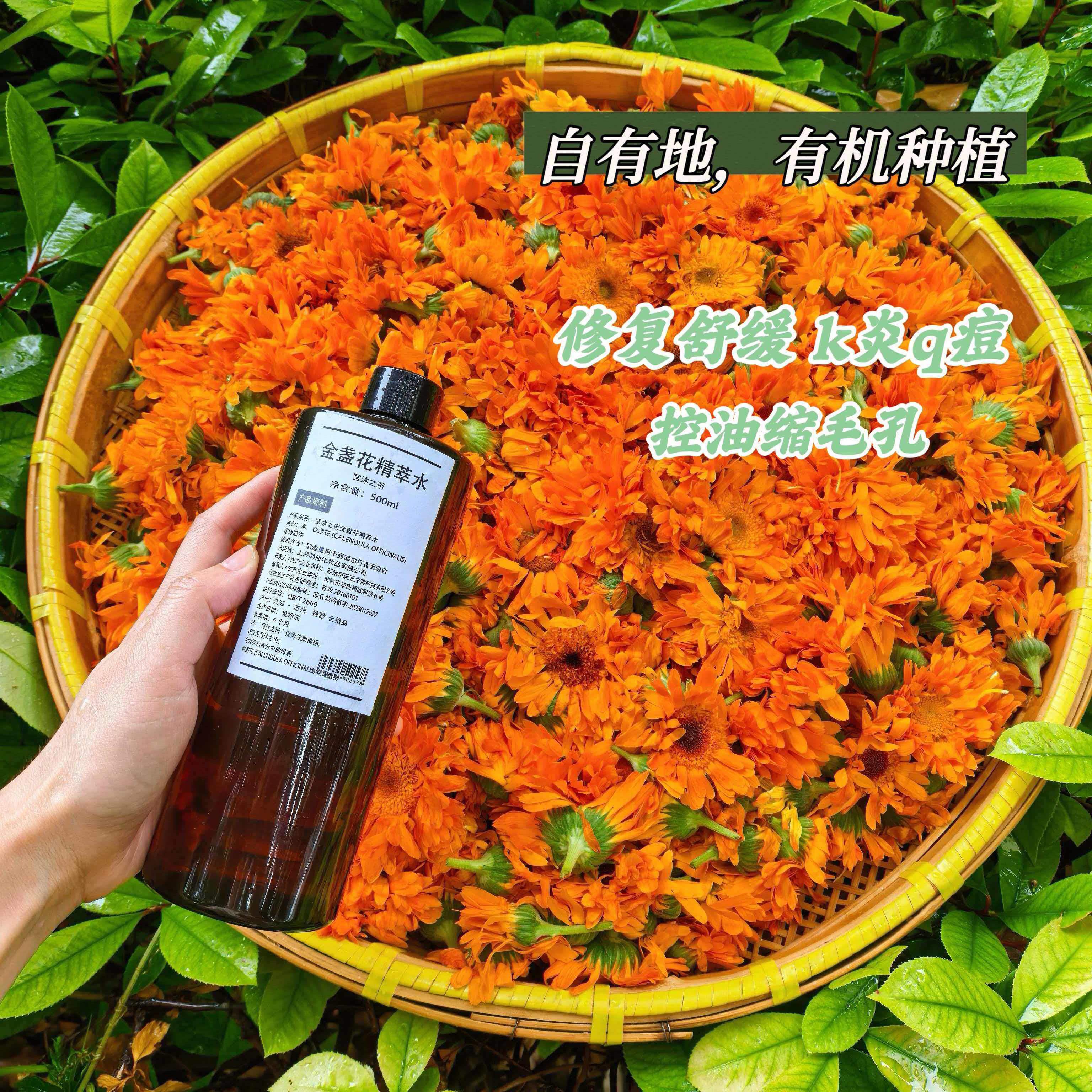 【500ml】金盏花纯露爽肤水喷雾修复缩毛孔维稳镇定祛痘苦橙花水