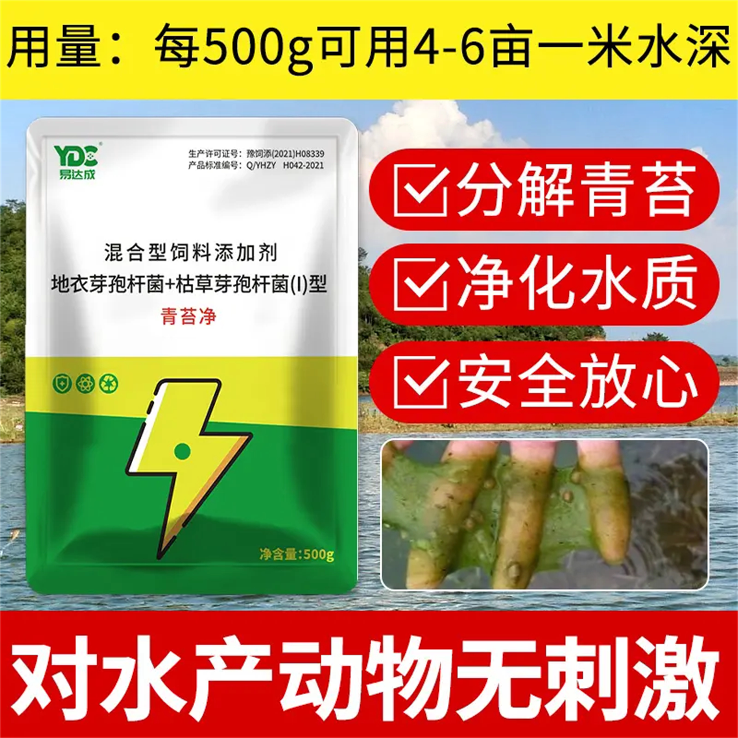蓝藻分解酶溶解青苔鱼塘水产养殖