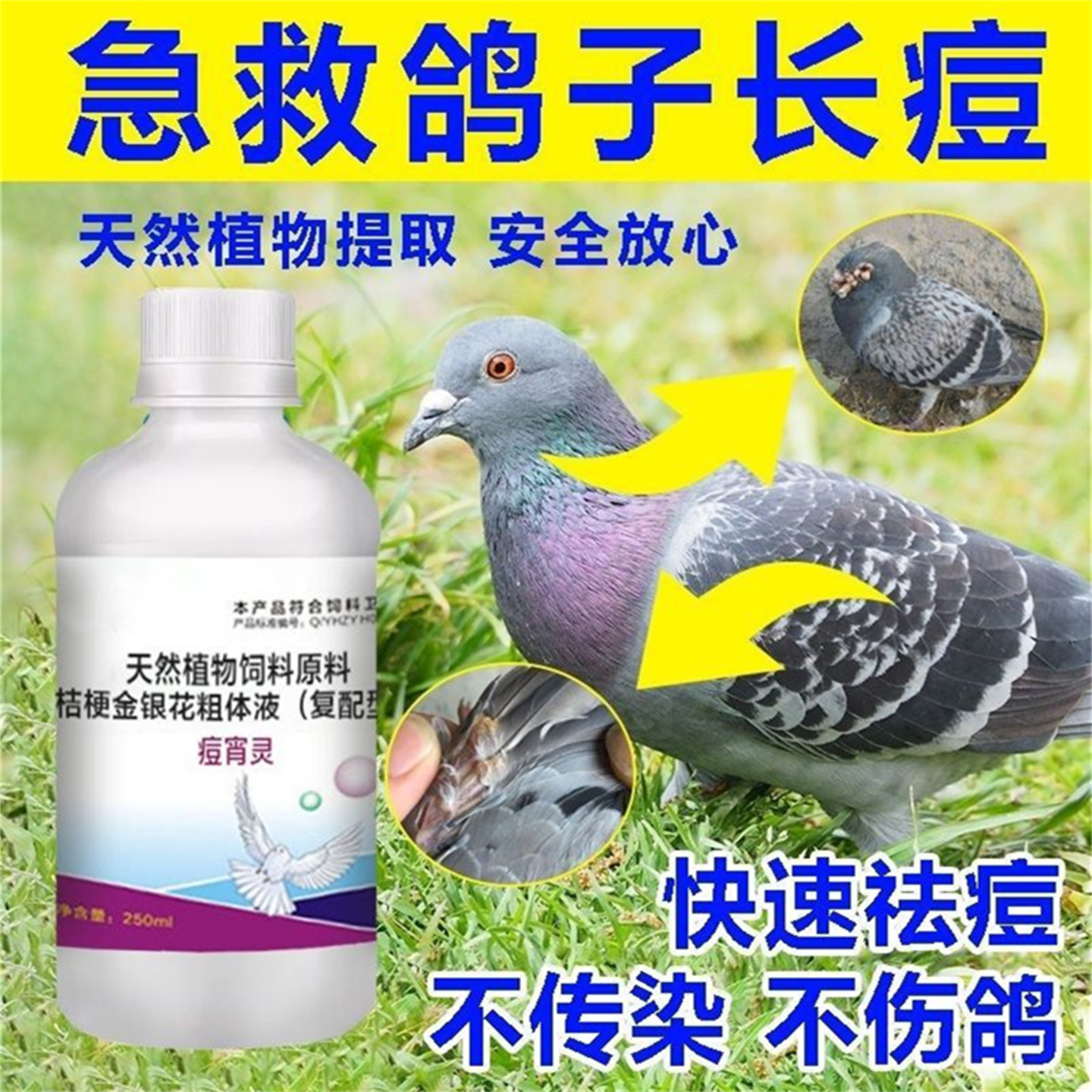 痘宵灵赛鸽祛痘专用添加剂强效