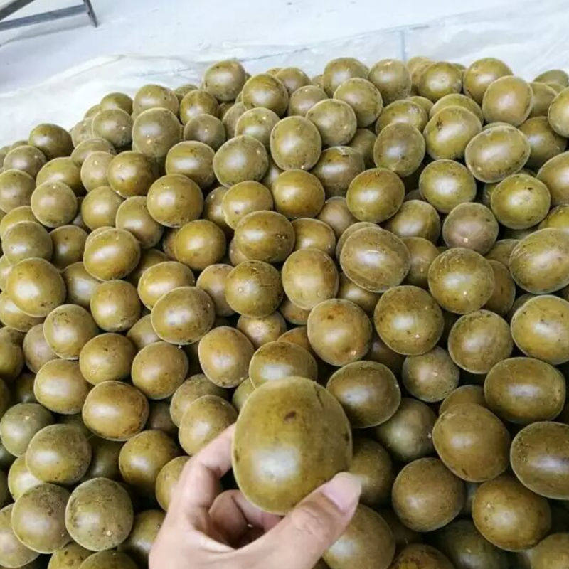 正品罗汉果干果广西桂林特产永福罗汊果茶泡茶水特级大果新果散装