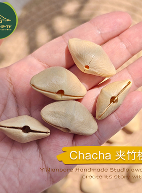 印尼夹竹桃chacha植物果实壳手工果壳铃DIY音疗治愈系静心散壳