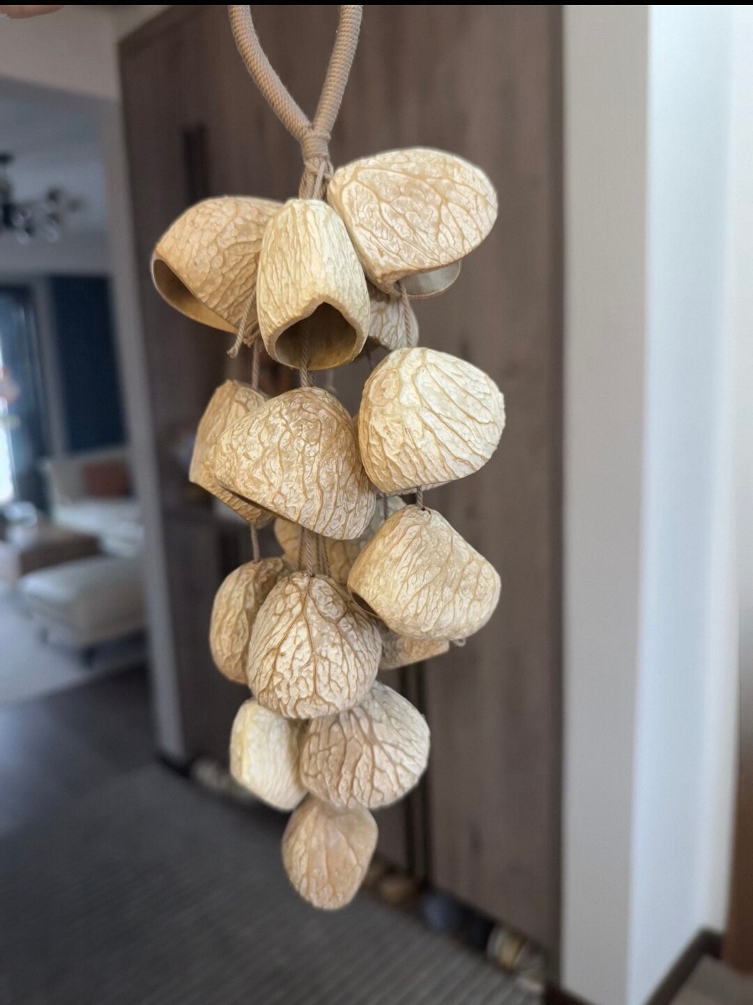 天然黑果壳风铃鸡蛋果壳手工棉绳编织音色清脆 挂门阳台车里装饰