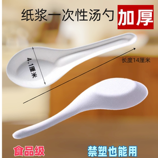 泉林本色一次性纸浆餐勺可降解饭勺白色秸秆原浆汤羹勺精品