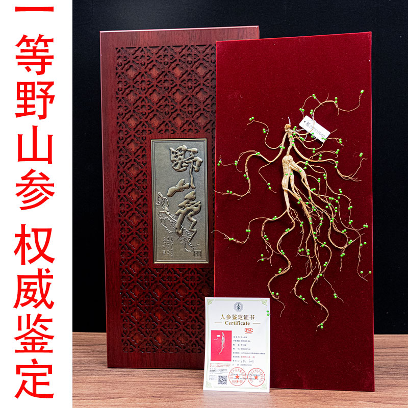 长白山特产野山参礼盒装20年高年份带证书全国可查泡酒煲汤滋补