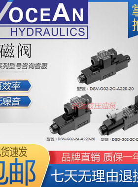 DSV-G02-2/6/8/0/31/7/4/33C/CL/A/N/B/CS-AC110-20/82七洋7OCEAN