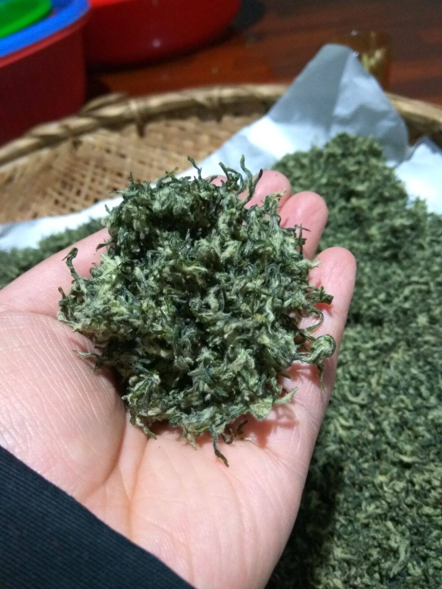 茶农直销新茶苏州东山一级碧螺春绿茶一心一叶250克包正品特级