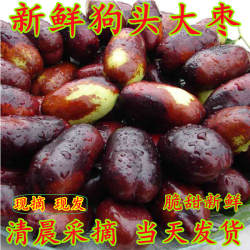 【顺丰发货】现货延安新鲜狗头枣脆枣鲜枣青枣脆甜陕北延安长枣