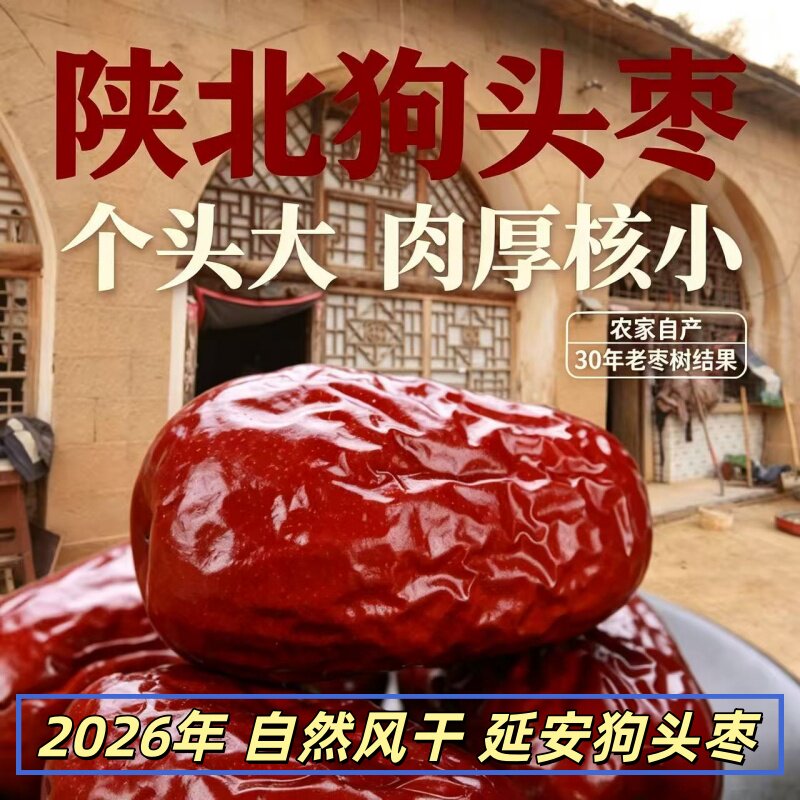 2026年新枣陕北六星狗头枣清涧大红枣延安狗头枣陕西特产大枣
