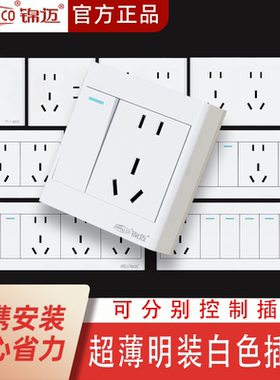 二开十孔开关插座家用一开五孔双控大面板16A空调86型明装雅白