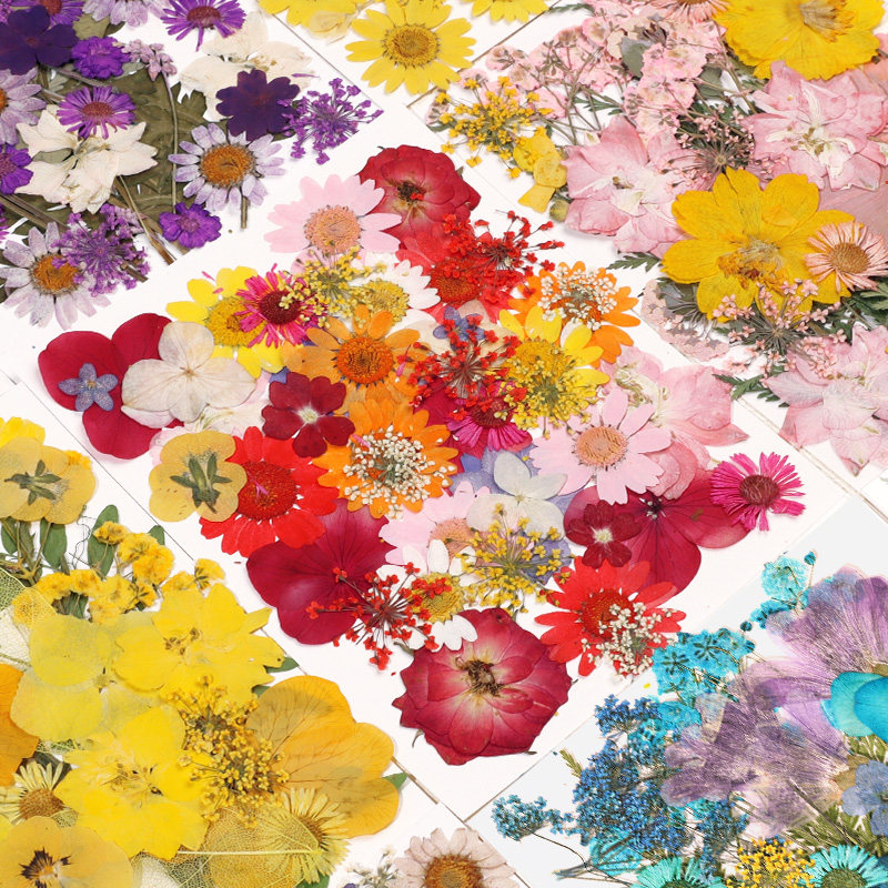 押花混合干花树叶粘贴画压花真花植物标本手工滴胶干花diy材料包