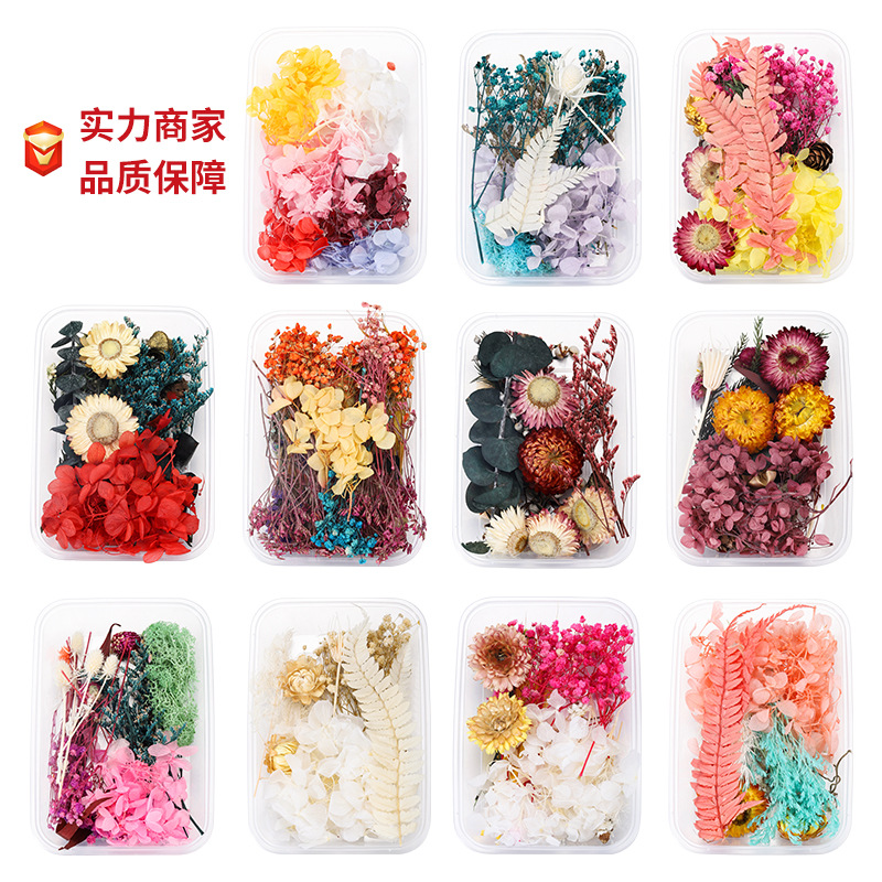 干花押花手工diy制作材料包女童创意美术美工女生益智儿童玩具