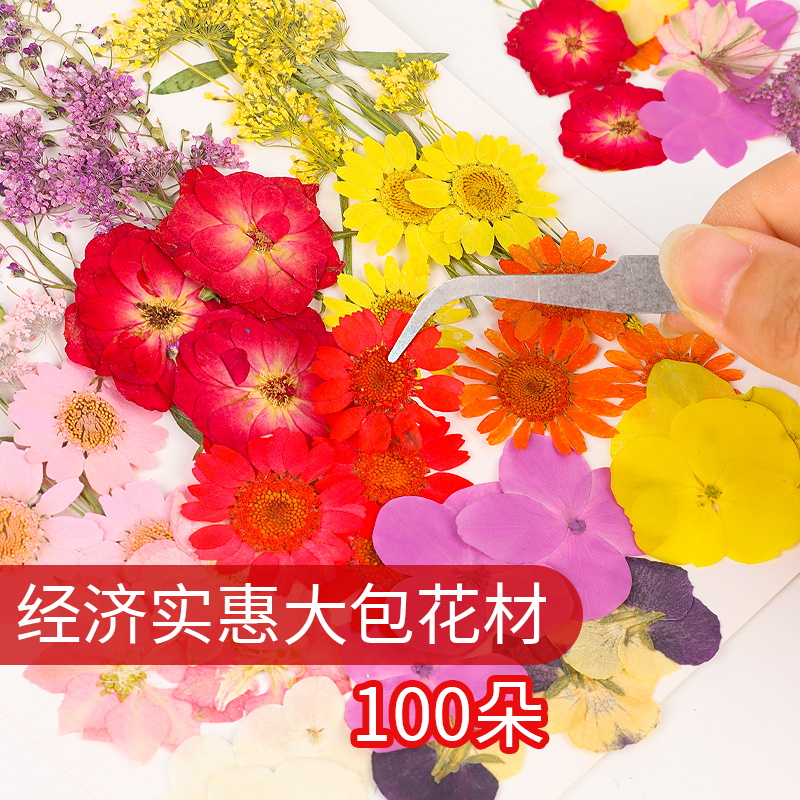 押花混合干花绣球树叶包手工diy滴胶干花材料包真花压花植物标本
