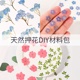 押花混合干花绣球树叶包滴胶干花材料包手工DIY真花压花植物标本