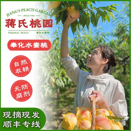 【蒋永仁】正宗奉化水蜜桃，溪口状元岙村自有桃园直发