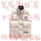 无袖 大鹅羽绒马甲男秋冬季 2025新款 坎肩加绒加厚防风马夹抗寒外套