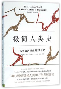 从宇宙大爆炸到21世纪 极简人类史