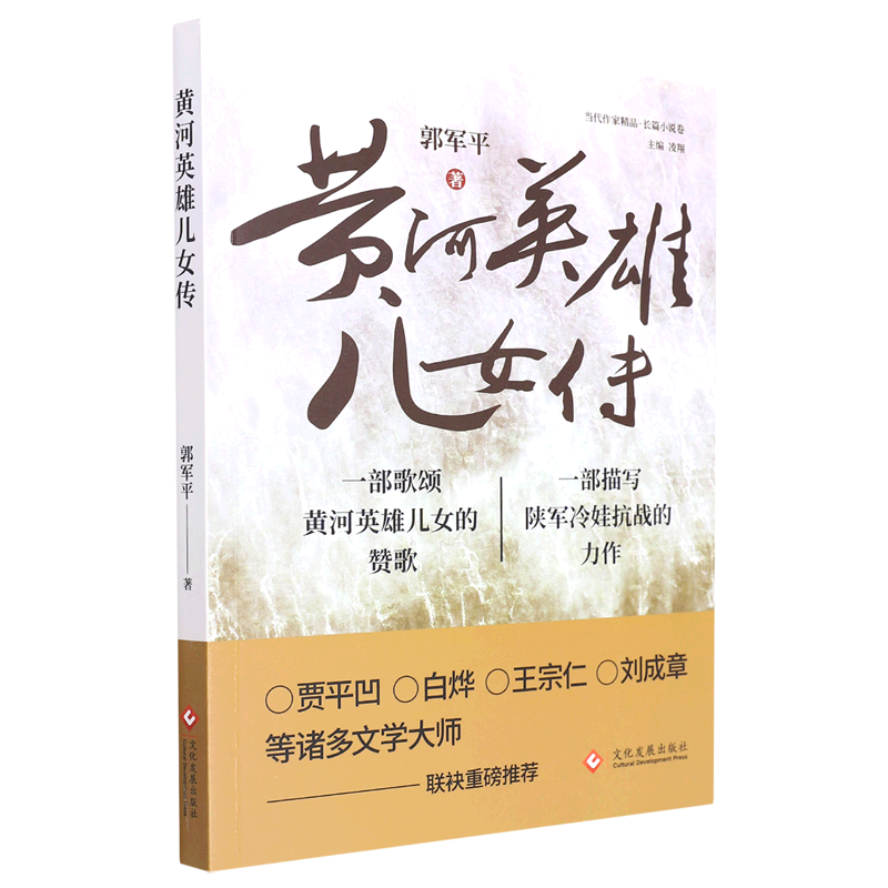 黄河英雄儿女传/当代作家精品