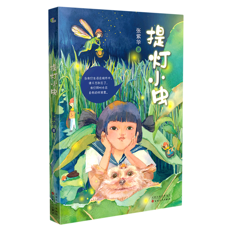 提灯小虫