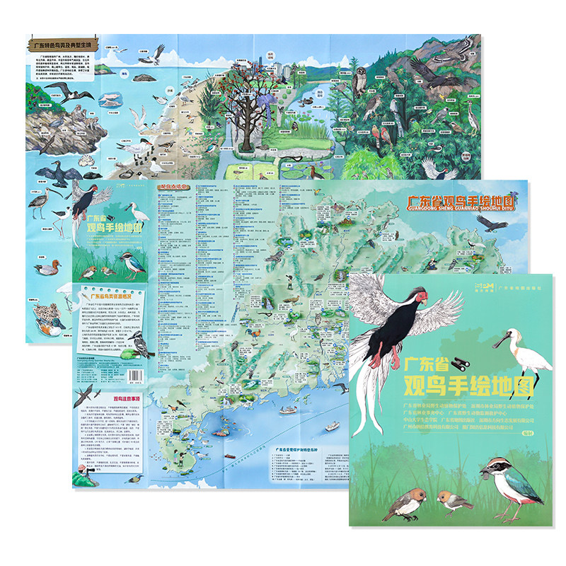 全新版 广东省观鸟手绘地图 广东省林业局野生动物植物保护处 野生鸟类摄影地点 手绘精美插图