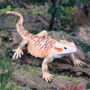 儿童启蒙实心昆虫蜥蜴动物模型爬行松狮蜴巨蜥伞蜥变色龙四脚龙