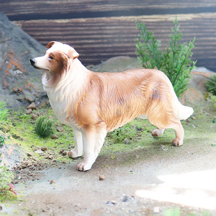 仿真实心动物模型边境牧羊犬金毛斗牛犬狗狗儿童教具塑胶玩具
