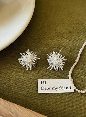 白昼烟火轻奢纯银针耳钉耳夹