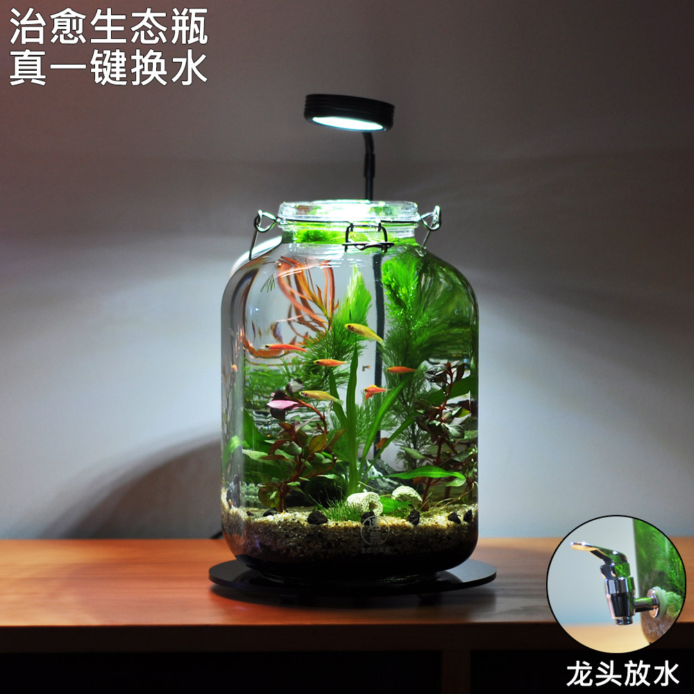 生态瓶水草小鱼缸玻璃办公桌面微景观生日情侣礼物DIY作业免换水,宠物/宠物食品及用品,生态瓶/创意缸/微景缸,淘宝优惠券,粉丝福利购,淘宝优惠卷