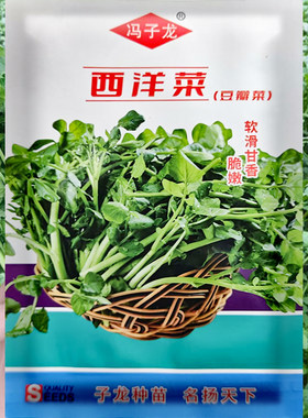 西洋菜种籽豆瓣菜种子四季保健菜广东青菜菜苗孑蔬菜野生青菜种籽