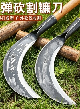 德国进口锻打加厚砍柴刀砍树刀砍竹刀户外开山开砍割两用刀农用