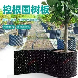 控根器植树专用高培围网花盆加高围圈种树围挡控根板阻根板美植袋