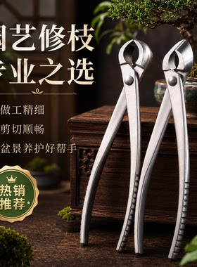加厚园林不锈钢球形切剪盆景斜口剪盆景专用工具修剪造型钳枝剪刀