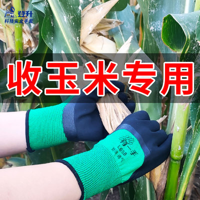 专用手套掰玉米防滑透气拔草园林