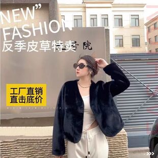 小个子皮草貂绒外套女冬 V领宽松貂绒短款 2024新款 丹麦貂年轻款