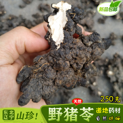 正品东北野生猪苓山里采挖自然晾晒干货中药材煲汤无硫250克包邮