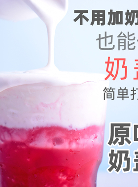 奶茶专用奶盖粉商用 禧茶原味奶盖粉奶泡奶茶店专用雪顶原料