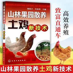 山林果园散养土鸡新技术 山林果园散养土鸡概述 土鸡营养饲料配制技术 土鸡的品种选择技术 土鸡场饲养管理人员土鸡养殖户阅读书