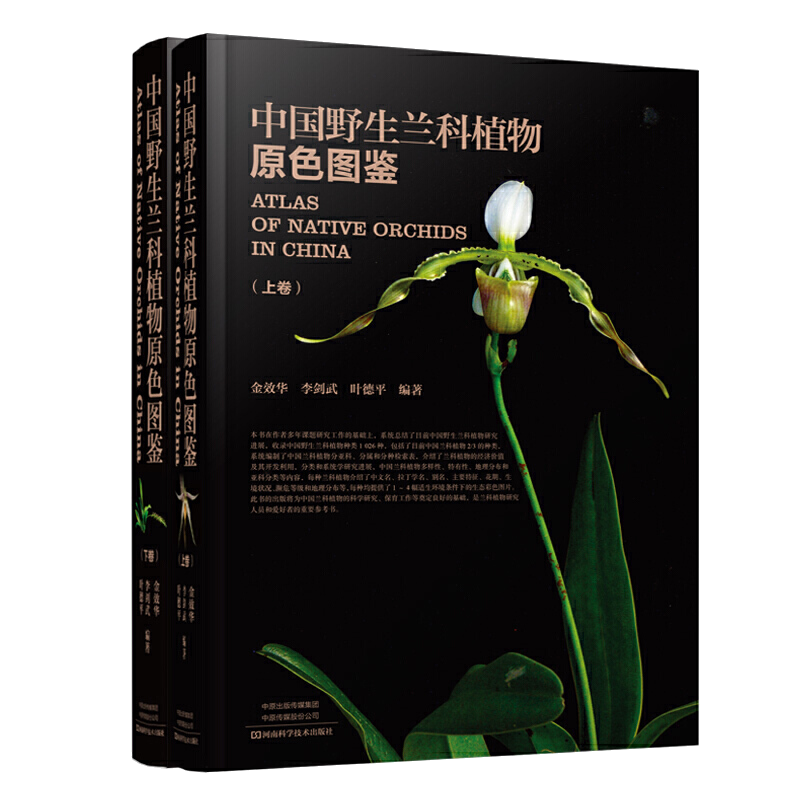 精装 中国野生兰科植物原色图鉴 上下卷 金效华花图鉴基础知识 种类分类园艺栽培 兰科植物花叶特征识别大全 自然科学科普百科