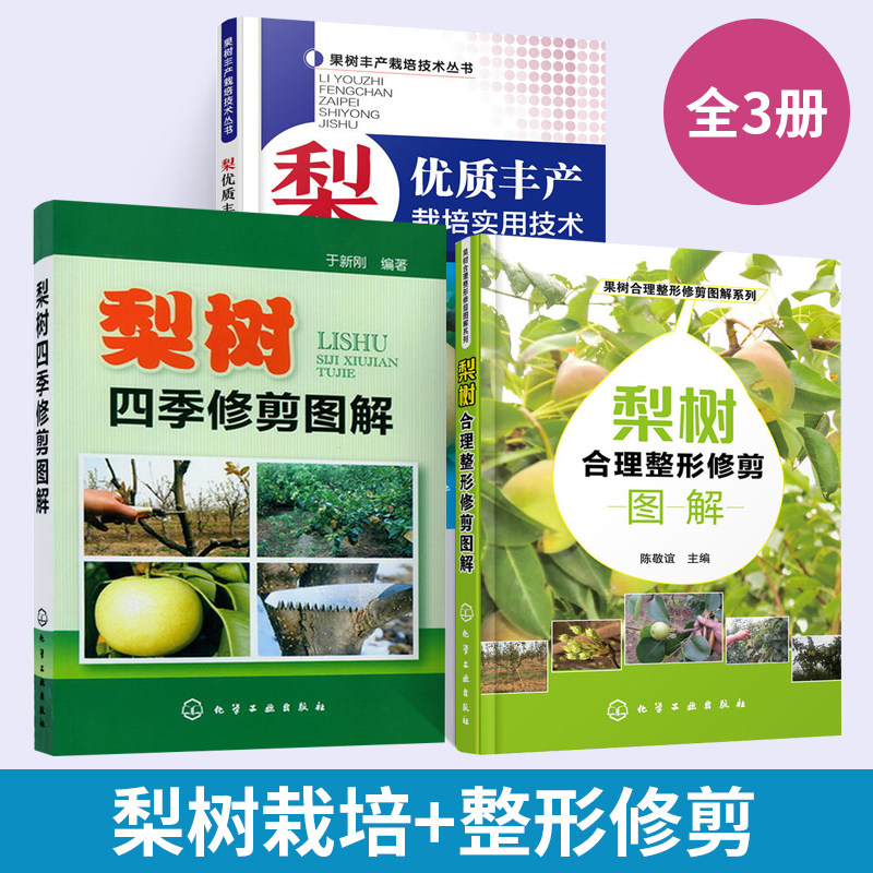 果树丰产栽培技术丛书梨优质丰产栽培实用技术+梨树四季修剪图解+梨树合理整形修剪图解全3册梨树种植技术大全书果树病虫害图谱