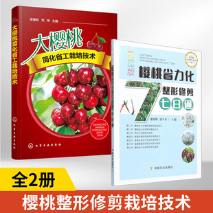 2册彩图版樱桃省力化整形修剪七日通+大樱桃简化省工栽培技术 樱桃种植技术樱桃树修剪基础知识方法小冠疏层形纺锤形类树形培养技
