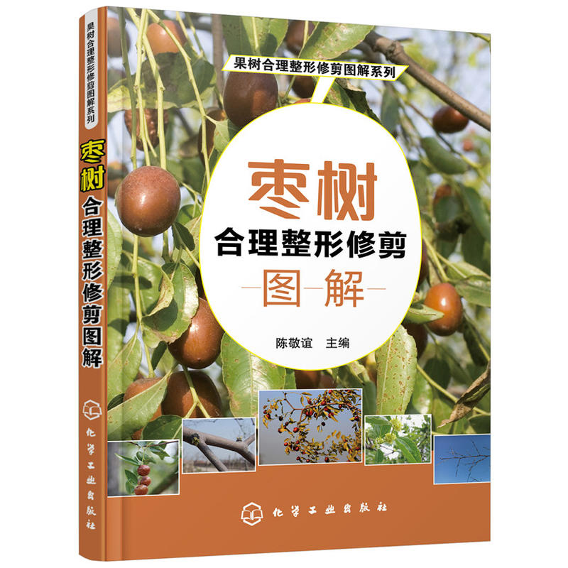枣树合理整形修剪图解 果树种植技术大全书植物合理整形修剪图解农业