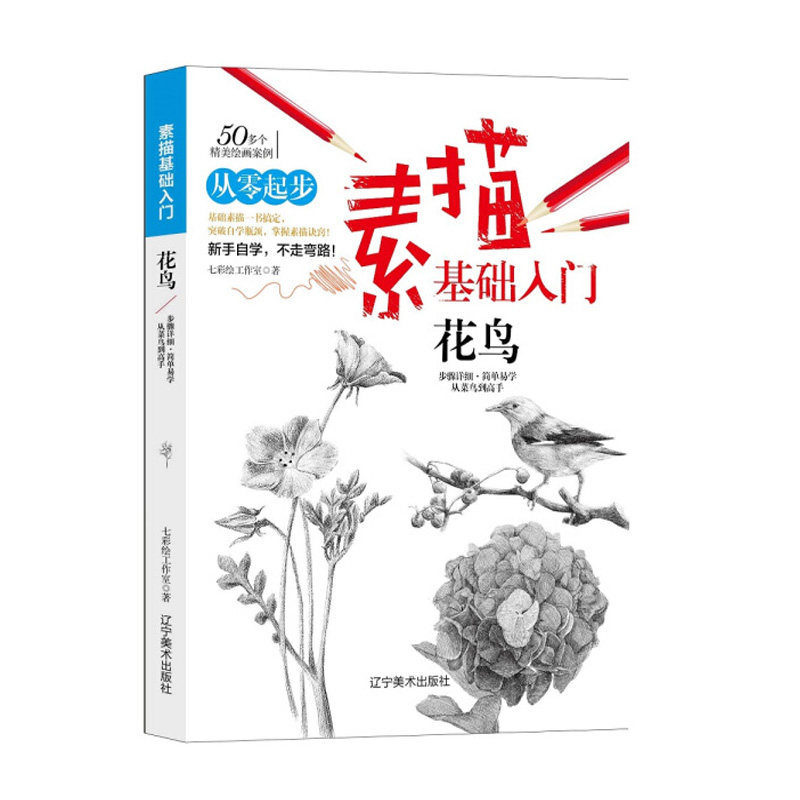 花鸟 素描基础入门 从零起步学素描花鸟画画 感受花与鸟的唯美动人插画技法书 漫画美术教程教材 自学零基础教程 临摹教材书籍