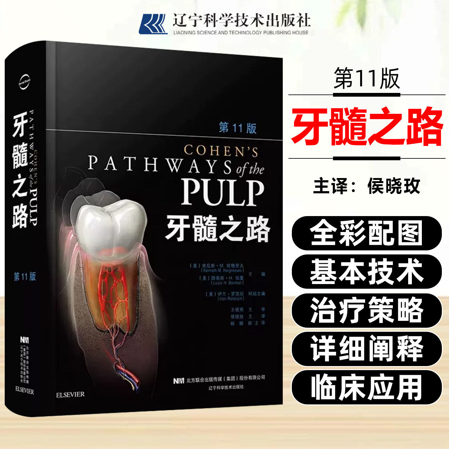 牙髓之路第十一11版口腔 医学专业书籍牙体牙髓书实用种植牙病例口腔种植牙科诊所口腔科书牙医医生护士护理学基础知识口腔护理书