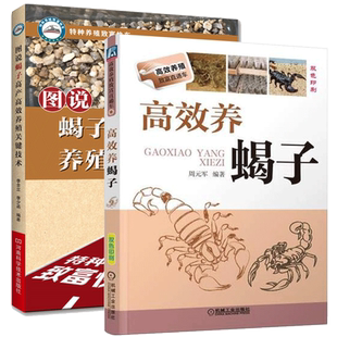 蝎子养殖关键技术书 高效养蝎子+图说蝎子高产高效养殖关键技术2册科学食用药用养殖场书 养殖蝎子治病与防治饲养技巧大全养蝎书籍