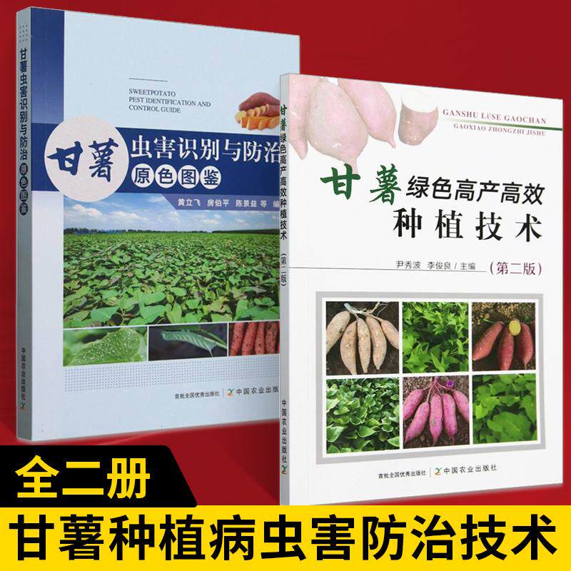 【全2册】甘薯虫害识别与防治原色图鉴+甘薯绿色高产高效种植技术 地瓜高效栽培管理 紫薯栽培技术大全 甘薯虫害识别书籍